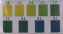 ม้วนกระดาษเทียบสีความเป็นกรด-ด่างของสารละลาย,    ช่วงการวัด 5.0 - 9.0 ความละเอียด 0.5